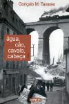 Agua Cao Cavalo Cabeca