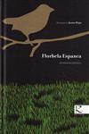 Florbela Espanca Antologia Poetica