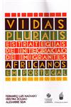 Detalhes do Livro Vidas Plurais Estrategias De Integracao De Imigrantes Africanos Em Portugal