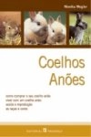 Coelhos Anoes Coelhos Anoes