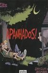 Apanhados Apanhados