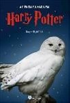 Ciencia E A Magia Em Harry Potter, A Ciencia E A Magia Em Harry Potter, A