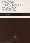 Citacoes E Notificacoes Na Accao Executiva Citacoes E Notificacoes Na Accao Executiva