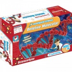Detetive Molecular Detetive Molecular