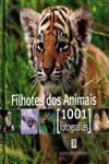Filhotes Dos Animais 1001 Fotografias Filhotes Dos Animais 1001 Fotografias