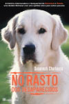 Rasto Dos Desaparecidos, No Rasto Dos Desaparecidos, No